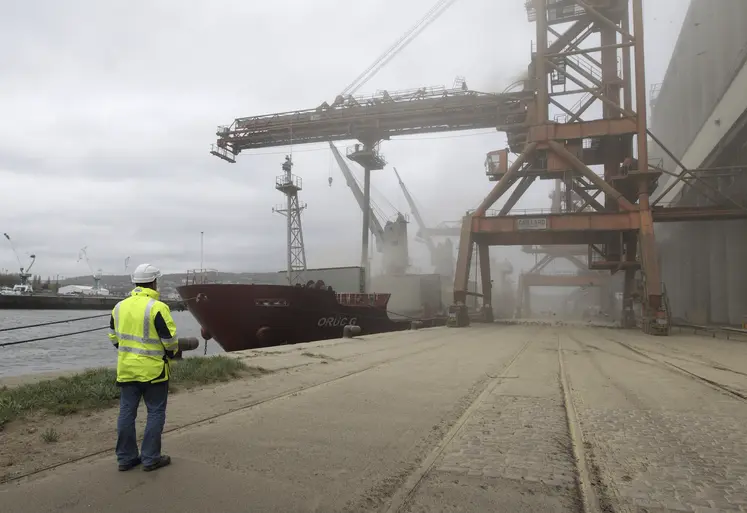 Chargement de 6000 t d'orge dans un bateau sur le terminal Sénalia du port de Rouen