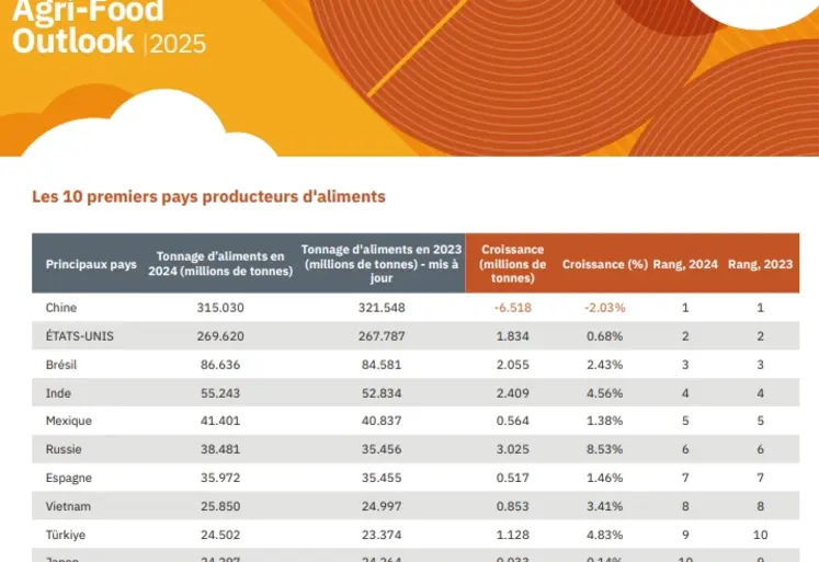 Tableau de la production des dix premiers pays producteurs d'aliments composés en 2024.