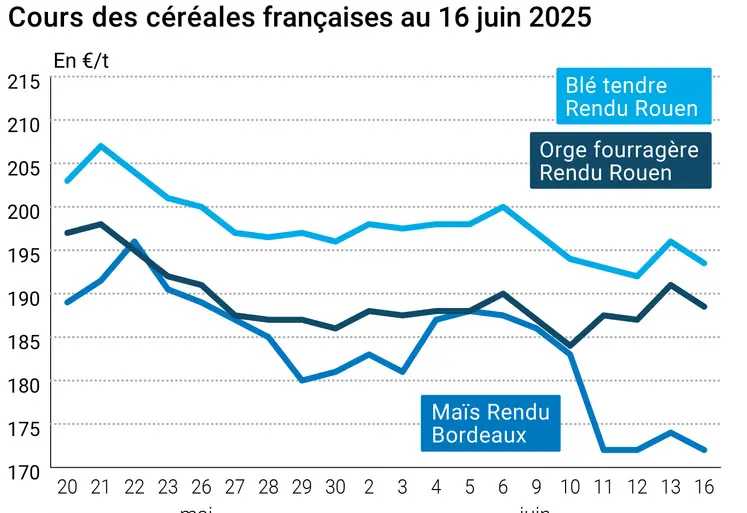 Graphique prix blé orge maïs France au 16 juin 2025