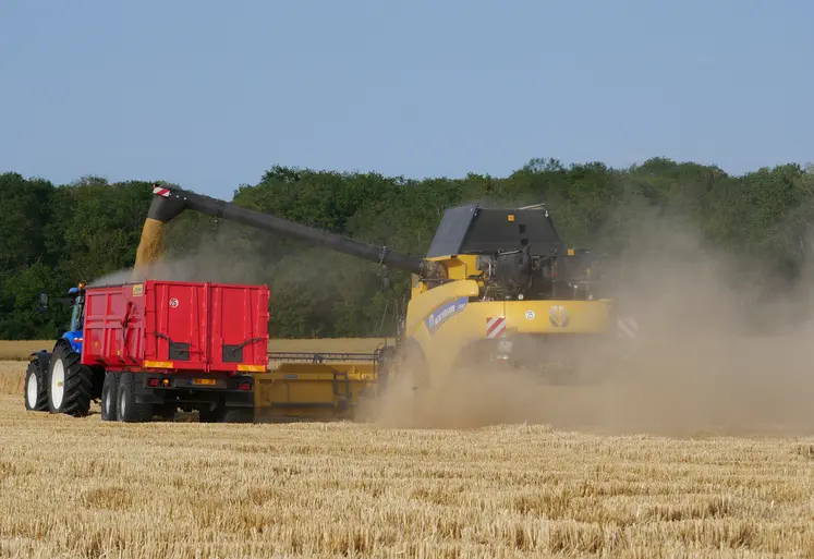 Récolte d'orge d'hiver, avec moissonneuse-batteuse et camion-benne.