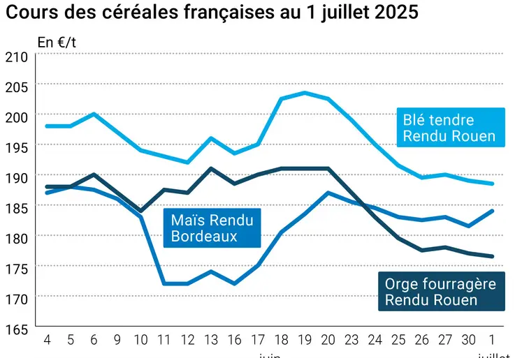 Graphique prix blé orge maïs France du 1er juillet 2025