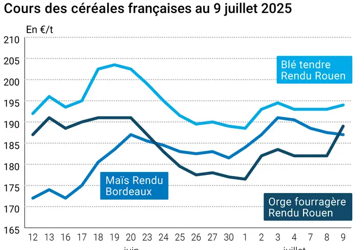 Graphique prix blé orge maïs France au 9 juillet 2025
