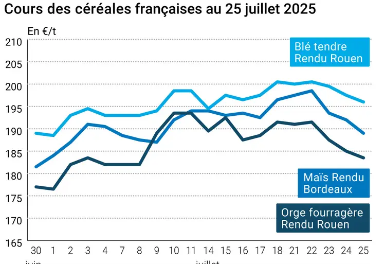 Graphique prix blé orge maïs France du 25 juillet 2025