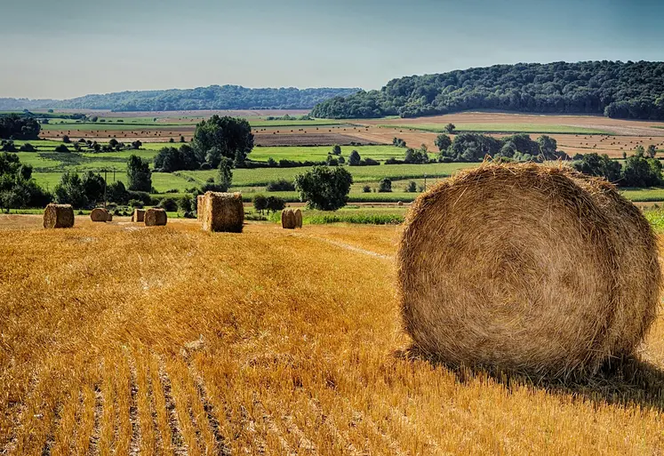 Meule de paille dans un champ moissonné à la campagne.