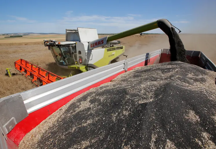 Moisson du Colza dans les plaines cerealieres de la Marne. Agriculteur moissonnant sa parcelle de Colza avec une moissonneuse bateuse Claas 740 Lexion.