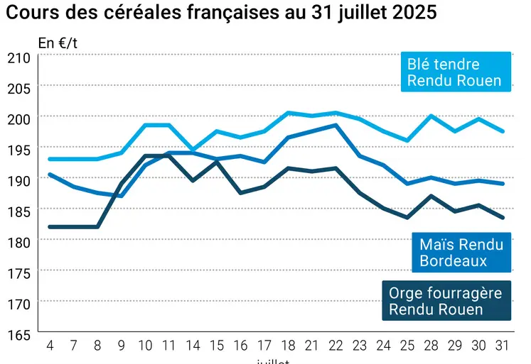 Graphique prix blé orge maïs France du 31 juillet 2025