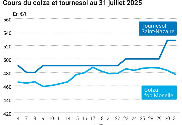 Graphique prix colza tournesol France du 31 juillet 2025