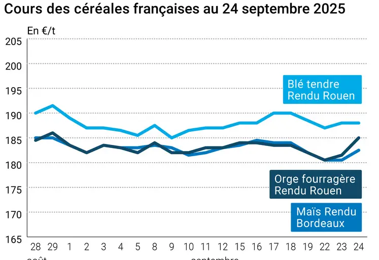Graphique prix blé orge maïs France du 24 septembre 2025
