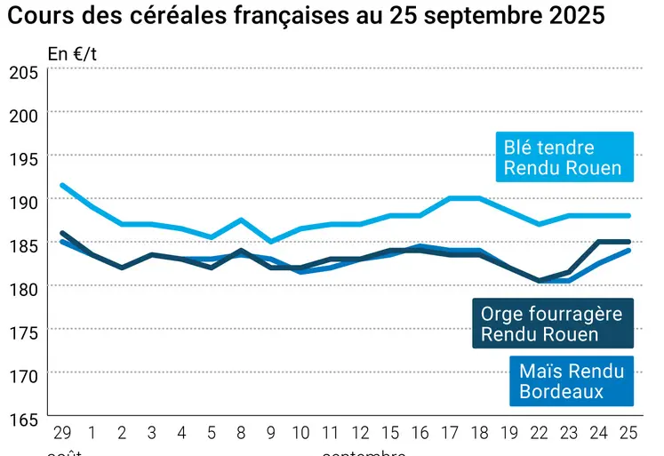Graphique prix blé orge maïs France du 25 septembre 2025