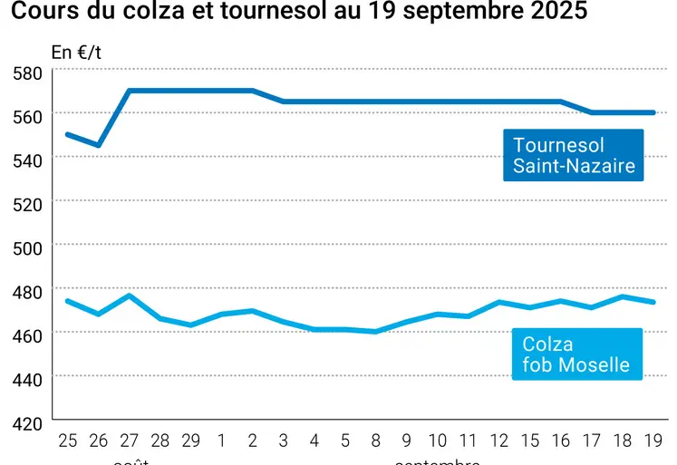 Graphique prix colza tournesol du 19 septembre 2025