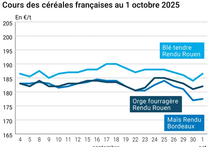Graphique prix blé orge maïs France du 1er octobre 2025