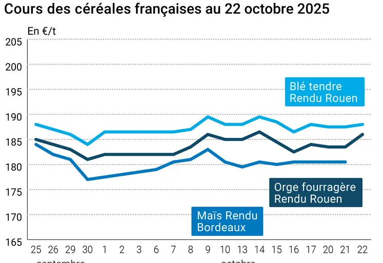 Graphique prix blé orge maïs France du 22 octobre 2025