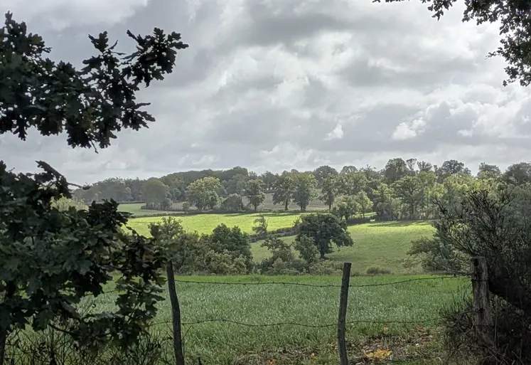 champ sous un ciel nuageux, Creuse, octobre 2025.