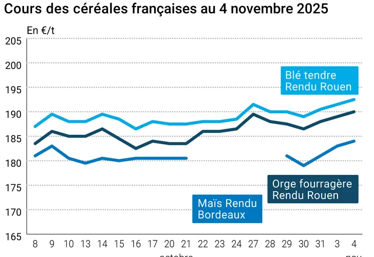 Graphique prix blé orge maïs France au 5 novembre 2025 