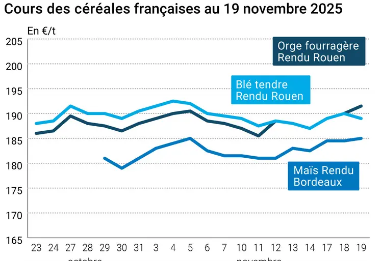 Graphique prix blé maïs orge France au 19 novembre 2025 