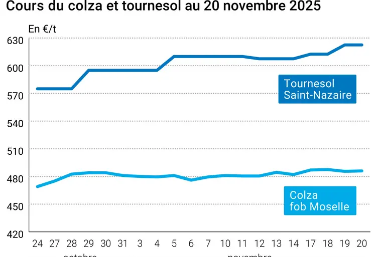 Graphique prix colza tournesol France au 20 novembre 2025  