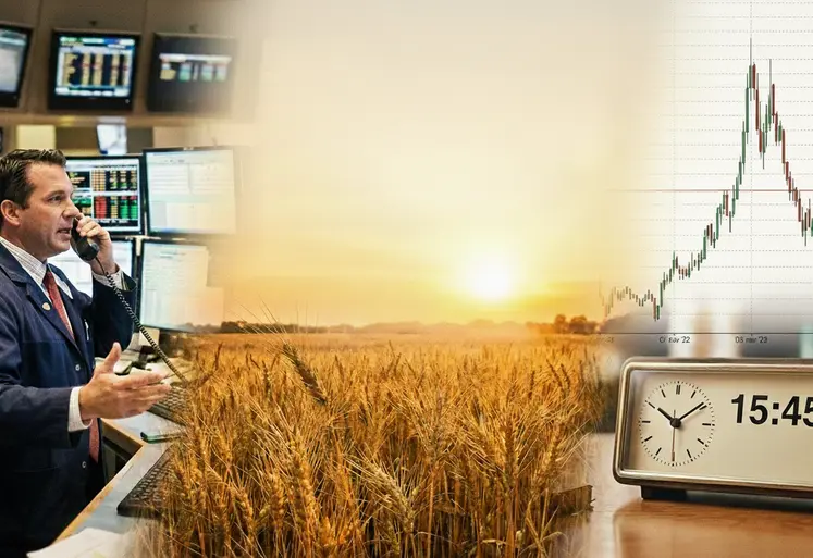 Montage photo montrant un trader, un champ de blé, un graphique des cours du blé et une horloge.