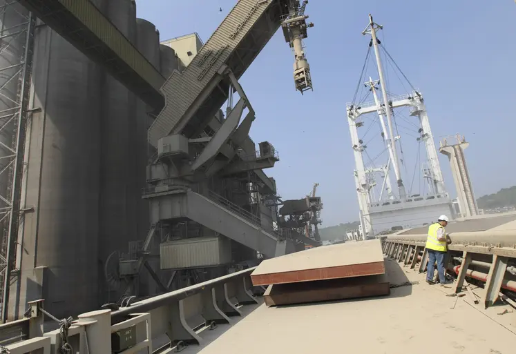 chargement de blé sur un bateau dans le port de Rouen par Senalia
