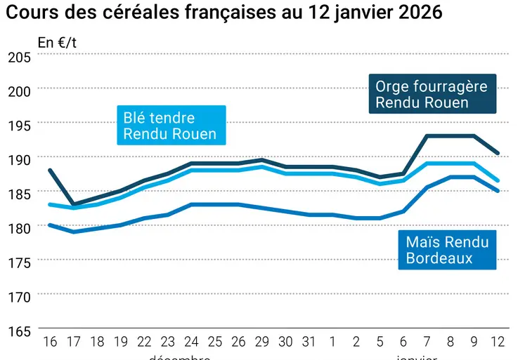Graphique prix blé maïs orge France au 12 janvier 2026 