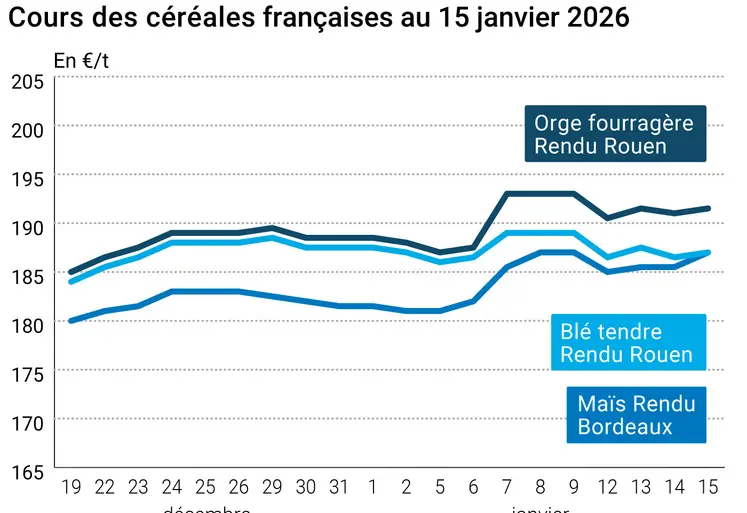 Graphique prix blé maïs orge France au 15 janvier 2026 