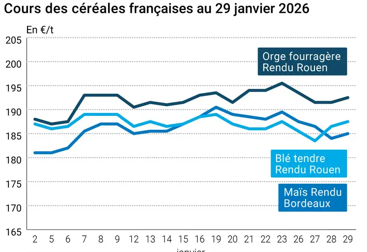 Graphique prix blé maïs orge France au 29 janvier 2026 