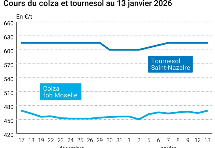 Graphique prix colza tournesol France au 13 janvier 2026  