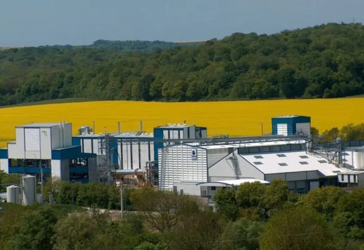 Champs de colza et usine de trituration