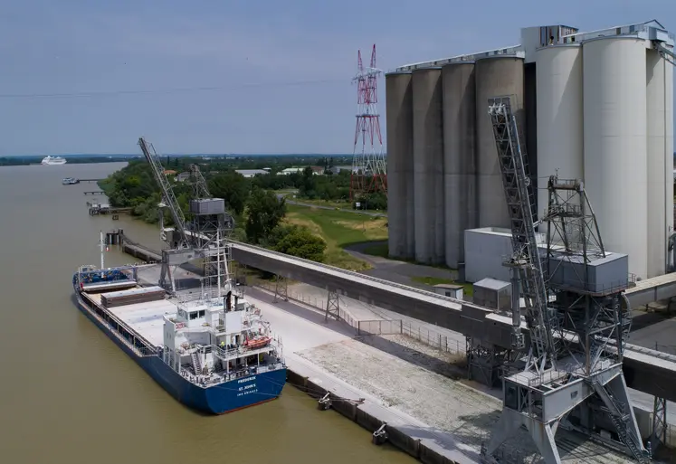 Photo d'un navire céréalier à Bassens.
