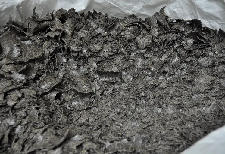 Tourteau de tournesol