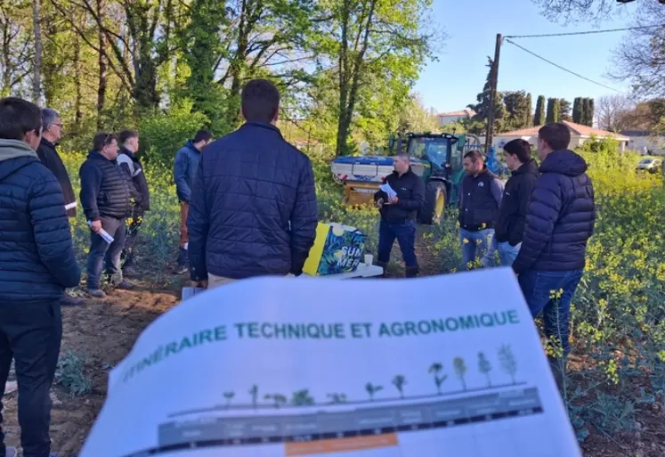 <em class="placeholder">Personnes débout dans un champ.</em>
