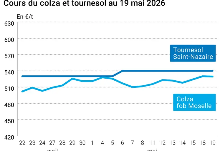 Graphique prix colza tournesol France au 19 mai 2026 