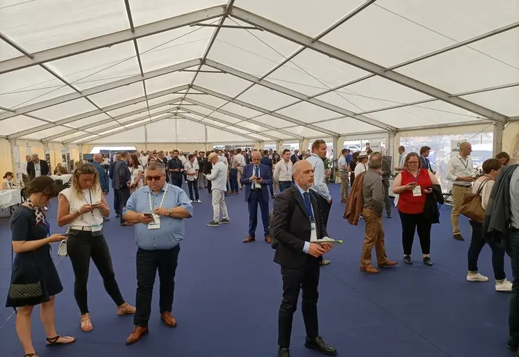 <em class="placeholder">La Bourse aux grains de Sète, qui s'est tenue sur le môle Saint-Louis, a accueilli environ 400 personnes pour son édition 2026. </em>