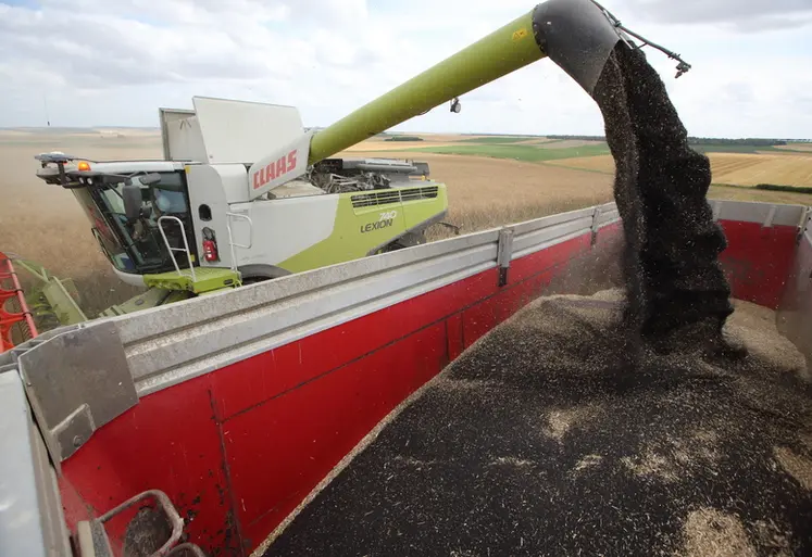 <em class="placeholder">FRANCE: Agriculture moisson des colza 
Agriculteur moissonnant des colzas dans les plaines cerealieres de la Marne avec une moissoneuse Claas 740 Lexion. Les rendements sont ...</em>