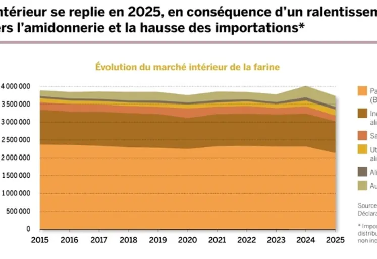 <em class="placeholder">Graphique d'évolution du marché intérieur de la farine en France de 2015 à 2025</em>