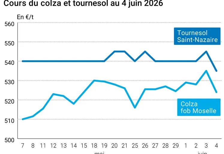 Graphique prix colza tournesol France au 4 juin 2026 