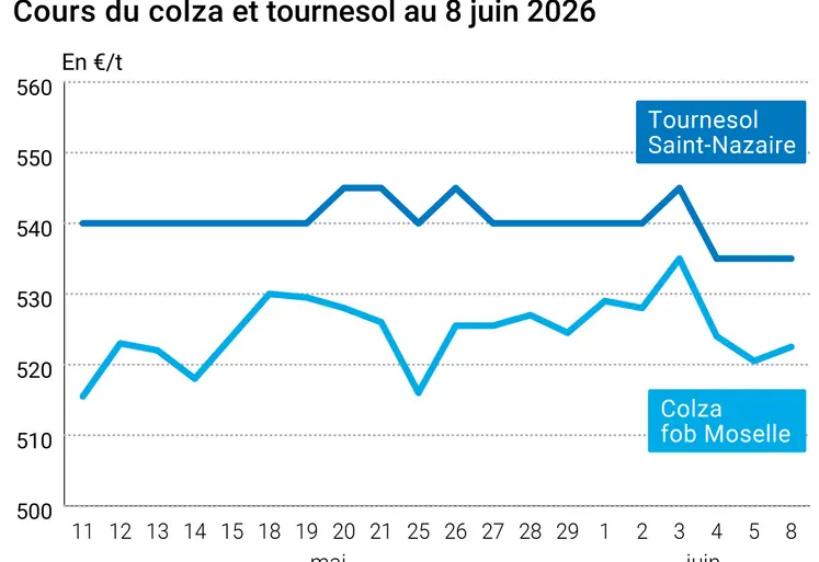 Graphique prix colza tournesol France au 8 juin 2026 