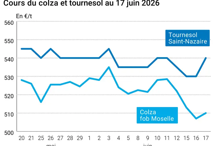 Graphique prix colza tournesol France au 17 juin 2026 