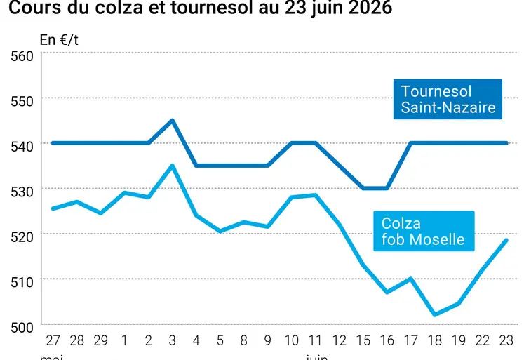 Graphique prix colza tournesol France au 23 juin 2026 
