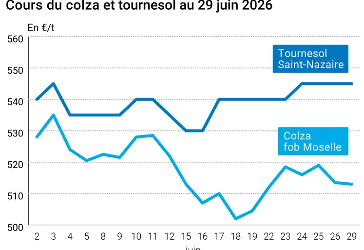 Graphique prix colza tournesol France au 29 juin 2026 
