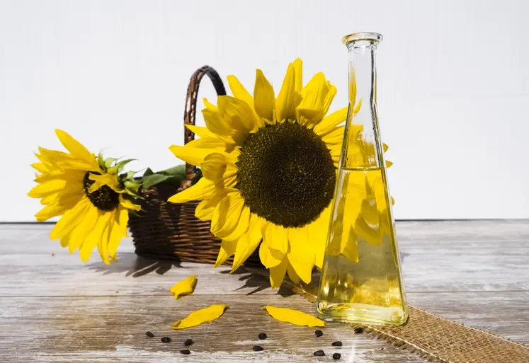 <em class="placeholder">fleur de tournesol et flacon  d'huile végétale</em>
