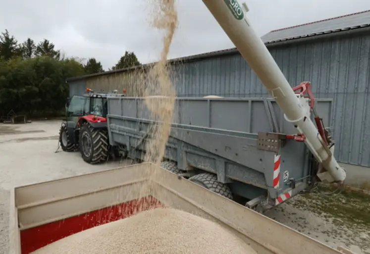 <em class="placeholder">Epandage d'engrais azoté en granule sur une parcelle de blé.</em>