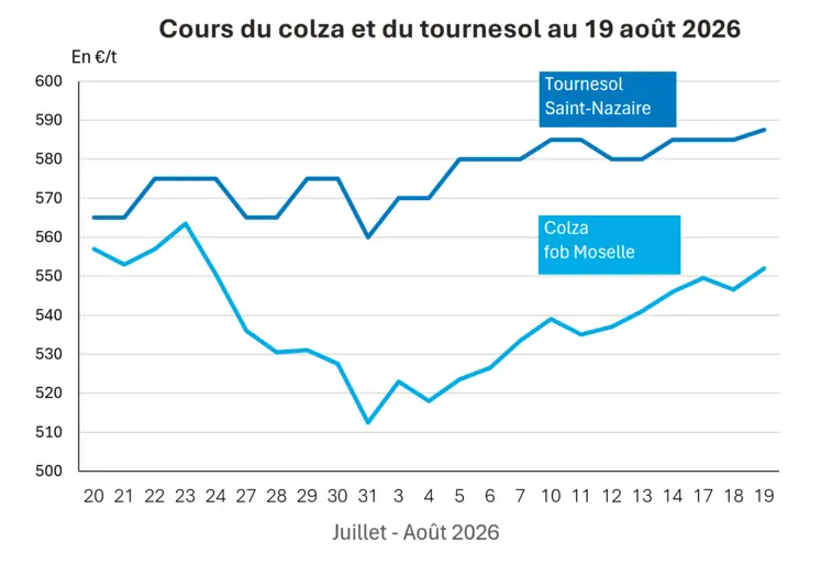 Graphique prix colza tournesol France au 19 août 2026 