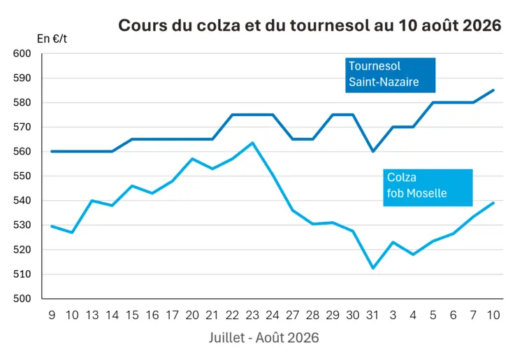 Graphique prix colza tournesol France au 10 août 2026 