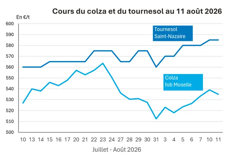 Graphique prix colza tournesol France au 11 août 2026