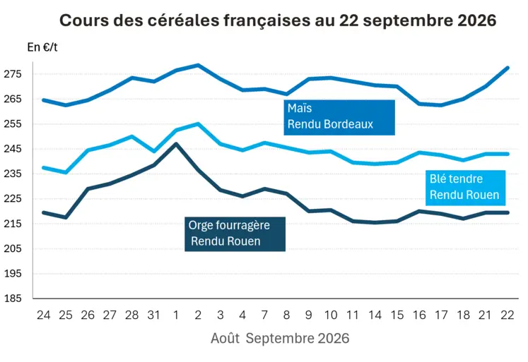 Graphique prix blé, orge et maïs France au 22 septembre 2026