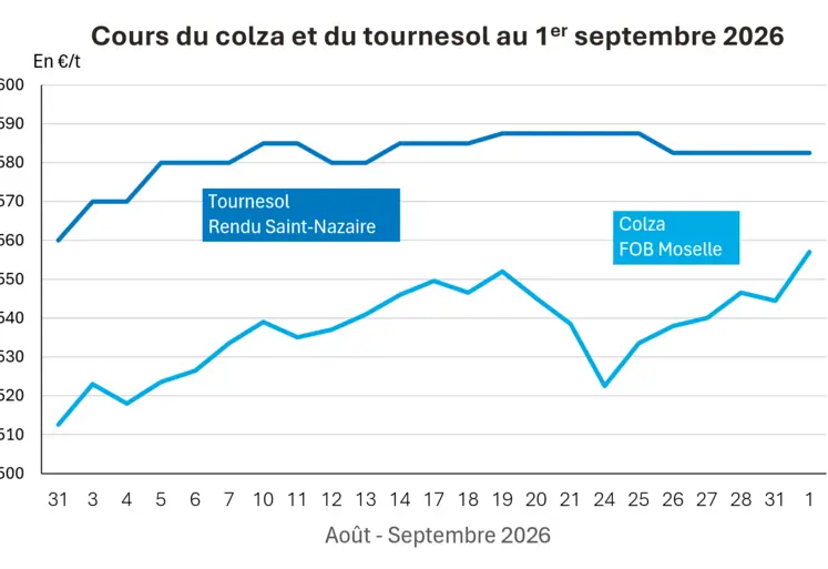 Graphique prix colza tournesol France au 1er septembre 2026