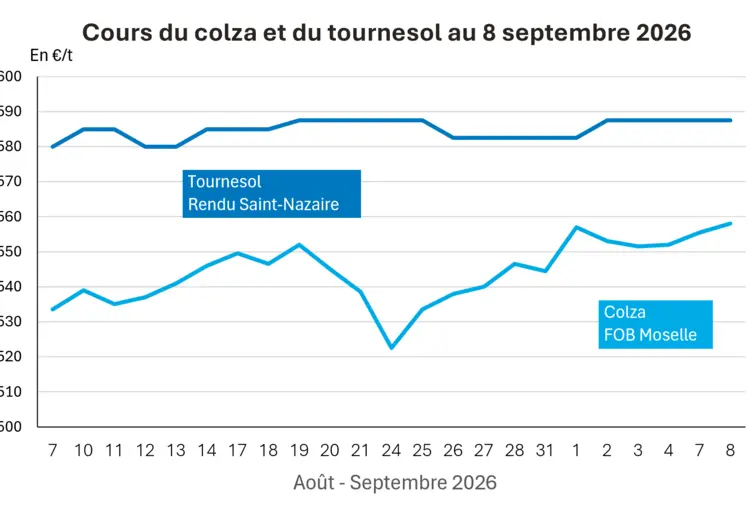 Graphique prix colza tournesol France au 8 septembre 2026 