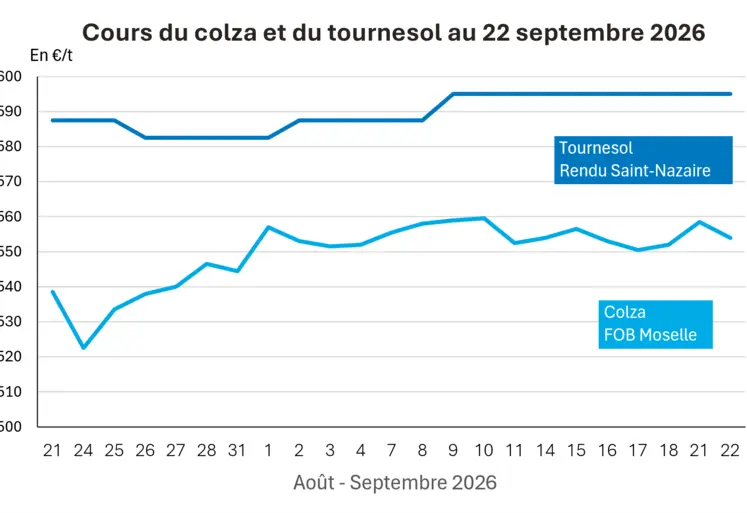 Graphique prix colza tournesol France au 22 septembre 2026