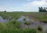 Excès d'eau dans un champ de soja en Argentine.