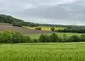 Paysage en mai, diversité culturale, bocage, haies, colza en fleurs, orge.